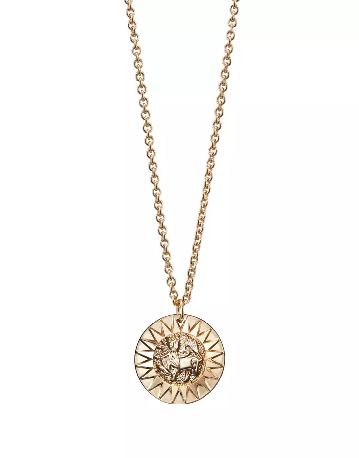 Kalevala Amuletti Aurinkoleijona 7031/34 iso pronssi riipus 3270313460 - Kalevala kaulakorut - 3270313460 - 1