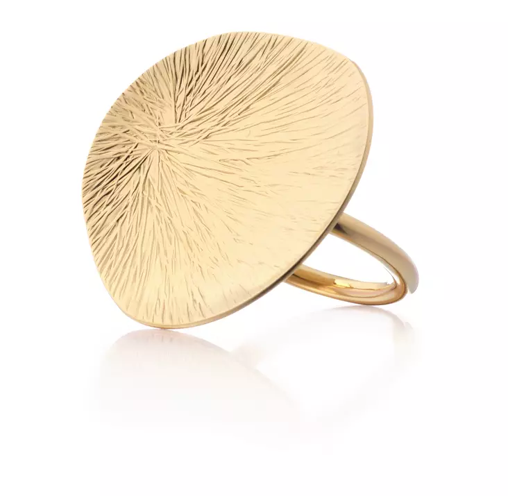 Lumoava Lily sormus kullattua hopeaa L62257900000 - Lumoava hopeasormukset - L62257900180 - 1