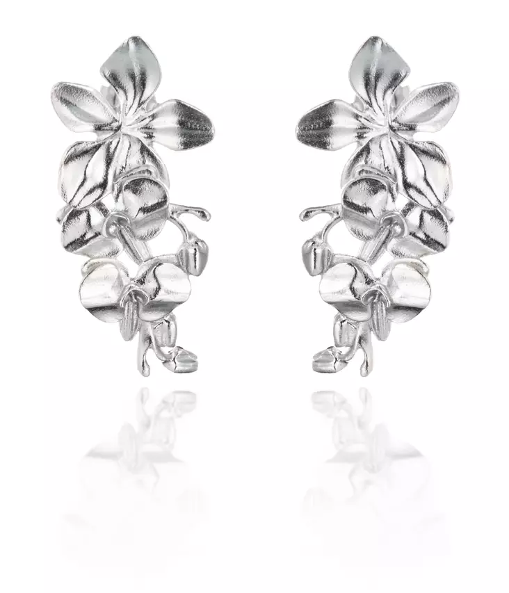 Lumoava Liza hopeiset korvakorut L54249700000 - Lumoava korvakorut - L54249700000 - 1