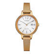 Citizen Eco-Drive naisten rannekello EW2447-89A - Naisten kellot - EW2447-89A - 1