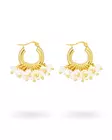 ANNELE Mini Sugar Rush korvakorut ANX5085A - Naisten korvakorut - ANX5085A - 1