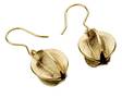 Kalevala Lumikukka 8214/2 pronssiset korvakorut 3682142K - Kalevala korvakorut - 3682142K - 1
